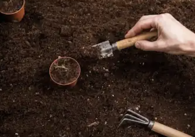 Why Different Soil Testing Methods Yield Different Results and What It ...